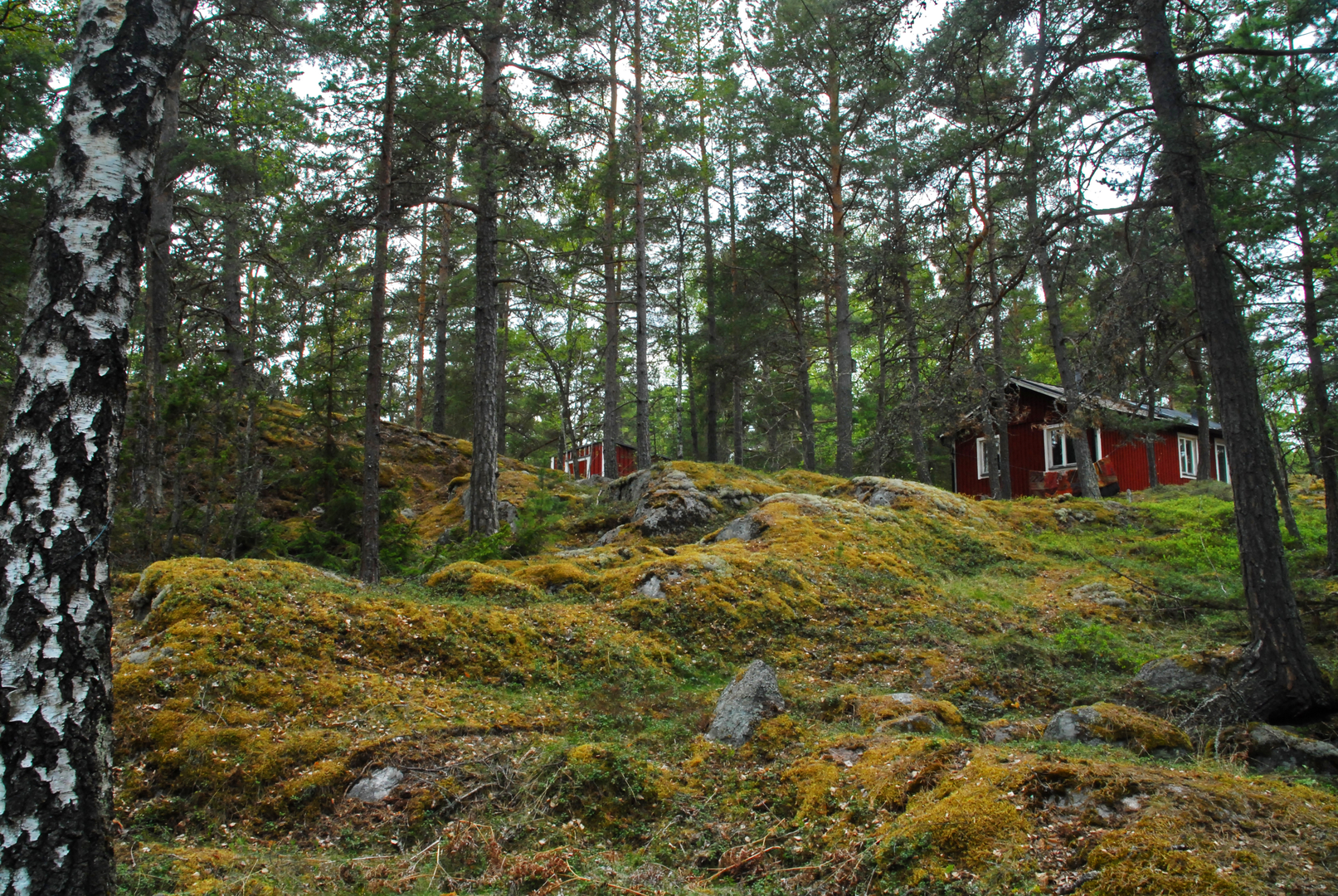 An image depicting the trail Stockholm Archipelago Trail - Grinda and its surrounding area.