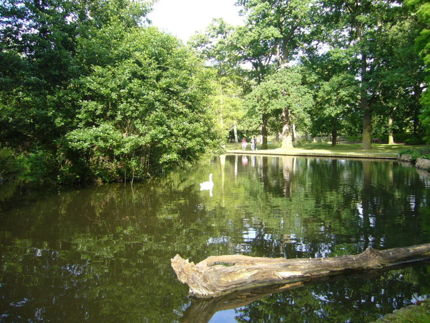 An image depicting the trail Bushy Park and its surrounding area.