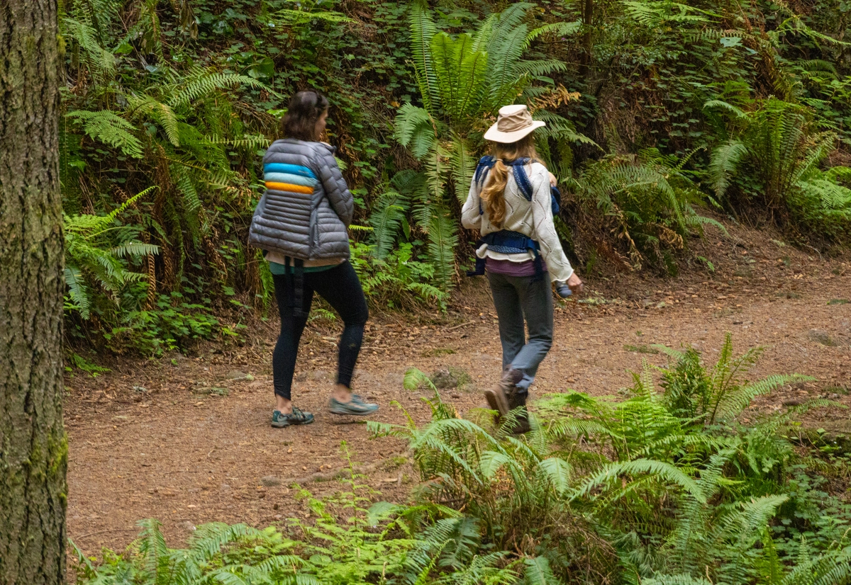 Lower Janes Creek Trail and Janes Creek Trail Loop