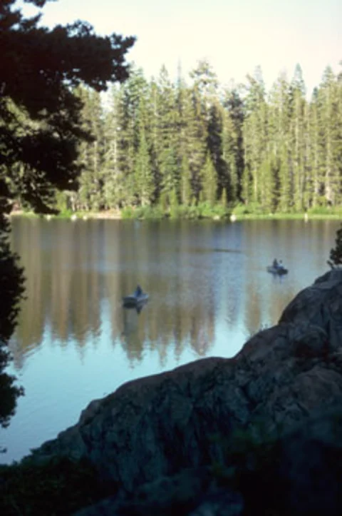 An image depicting the trail Packer Lake Picnic Trail and its surrounding area.