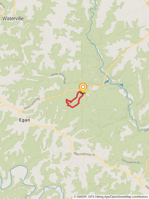 White Pine and Forester Loop