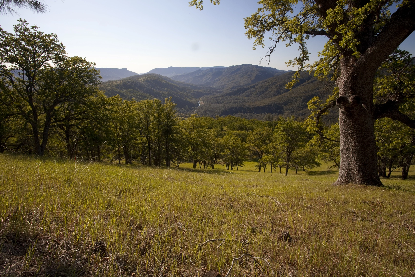 An image depicting the trail Cache Creek - Redbud Trail and its surrounding area.