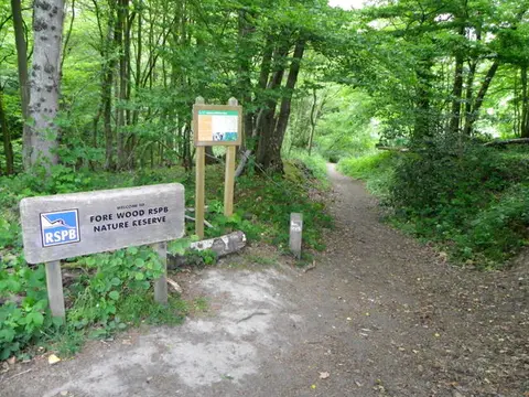 An image depicting the trail Fore Wood Nature Reserve Short Loop and its surrounding area.