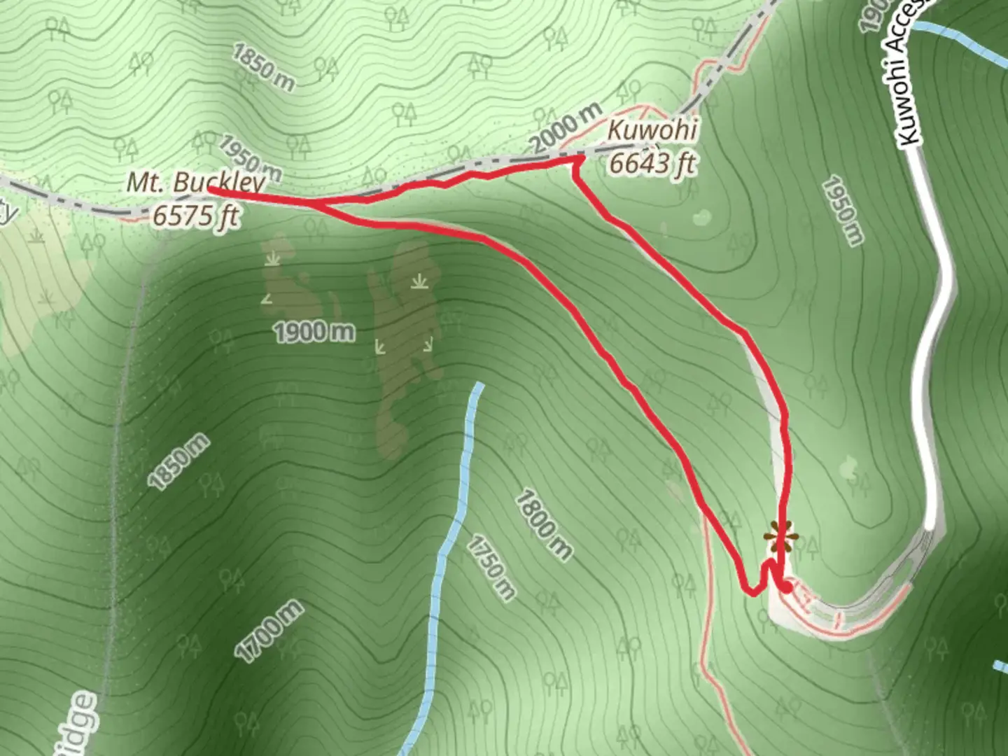 An image depicting the trail Mt Buckley via Clingmans Dome Loop Trail and its surrounding area.