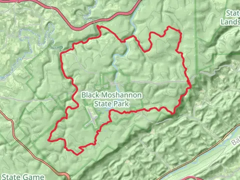 Black Moshannon Lake and Six MIle Run Loop