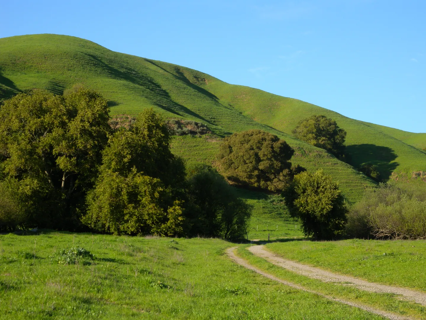An image depicting the trail Blue Oak and Table Top Trail and its surrounding area.
