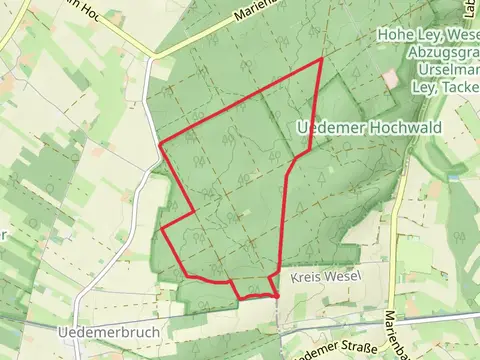 Uedemer Hochwald Loop