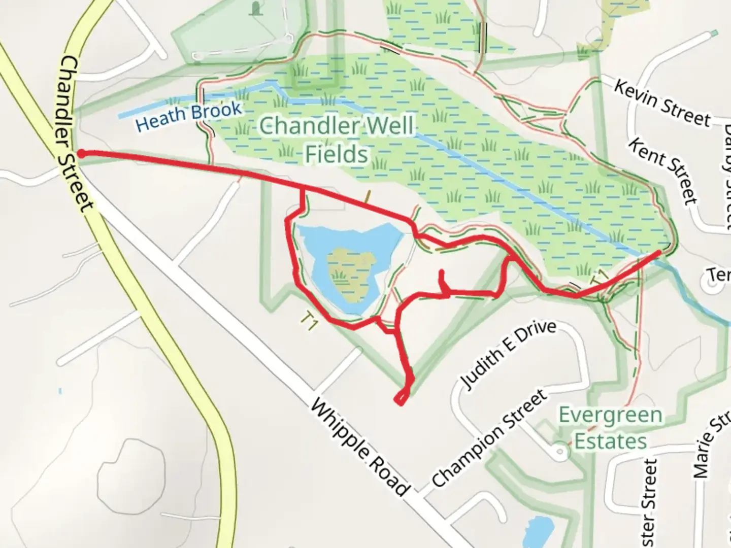 An image depicting the trail Pumping Stats and Heath Brook Loop and its surrounding area.