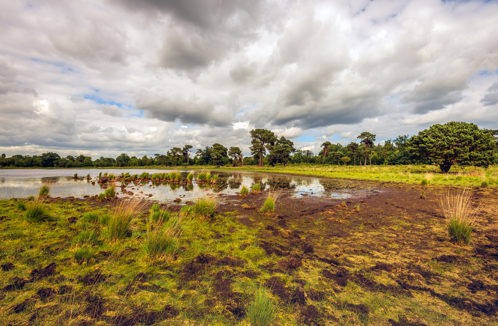 An image depicting the trail Sint Annabosch, Strijbeekse Heide, Het Zand and Alphensche Bergen Loop and its surrounding area.