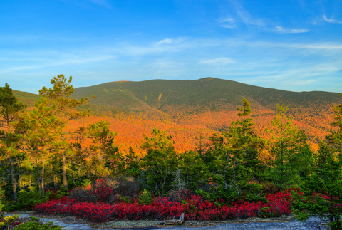 An image depicting the trail Blueberry Mountain North Trail and its surrounding area.
