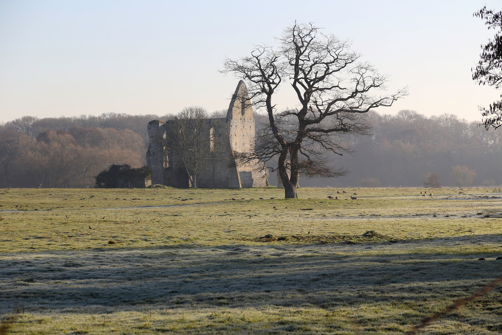 An image depicting the trail Fox Way and its surrounding area.