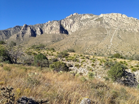 An image depicting the trail Marcus Trail via Bush Mountain Trail and its surrounding area.