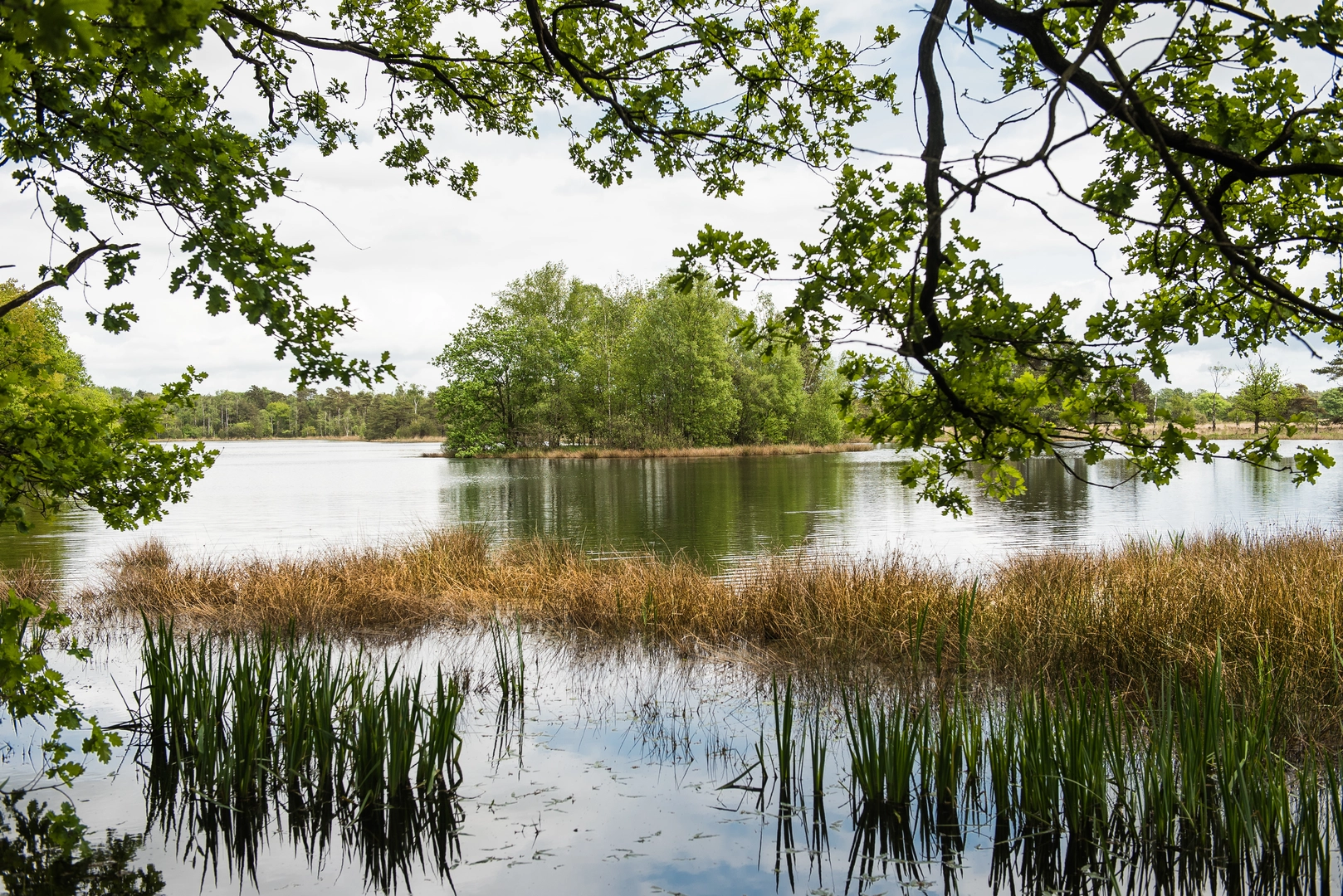 An image depicting the trail Maarn to Veenendaal via Leersumsche Veld and Amerongse Berg Loop and its surrounding area.