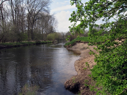 An image depicting the trail Saint Helen's Picnic Site Loop and its surrounding area.