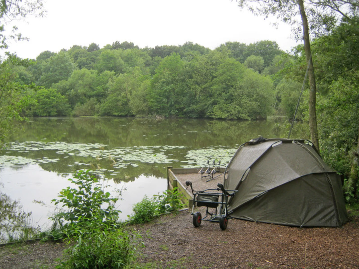 An image depicting the trail Smalley and Shipley Country Park Loop and its surrounding area.
