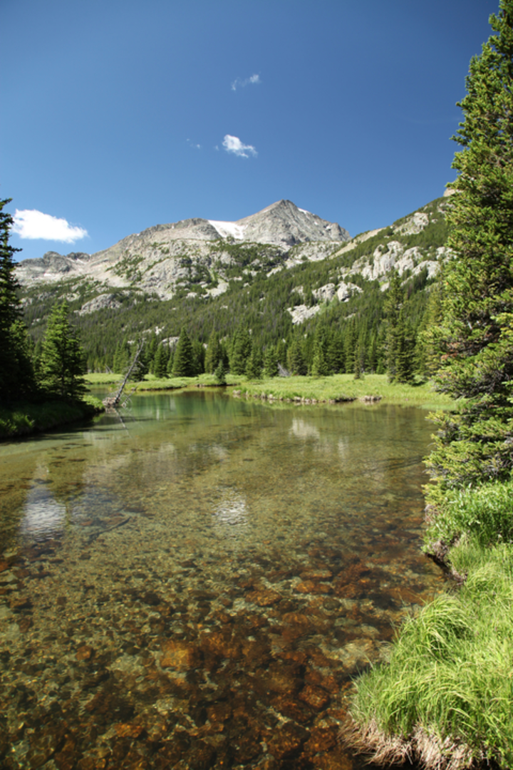 An image depicting the trail East Fork Buffalo Trail via Buffalo Divide Trail and Buffalo Fork Trail and its surrounding area.