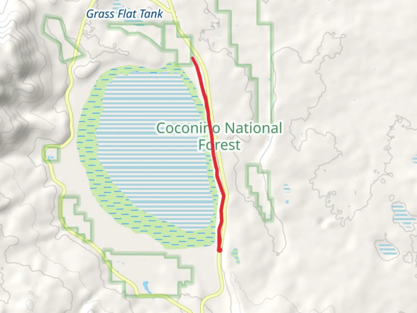 An image depicting the trail Mormon Lake Eastern Shore Walk and its surrounding area.
