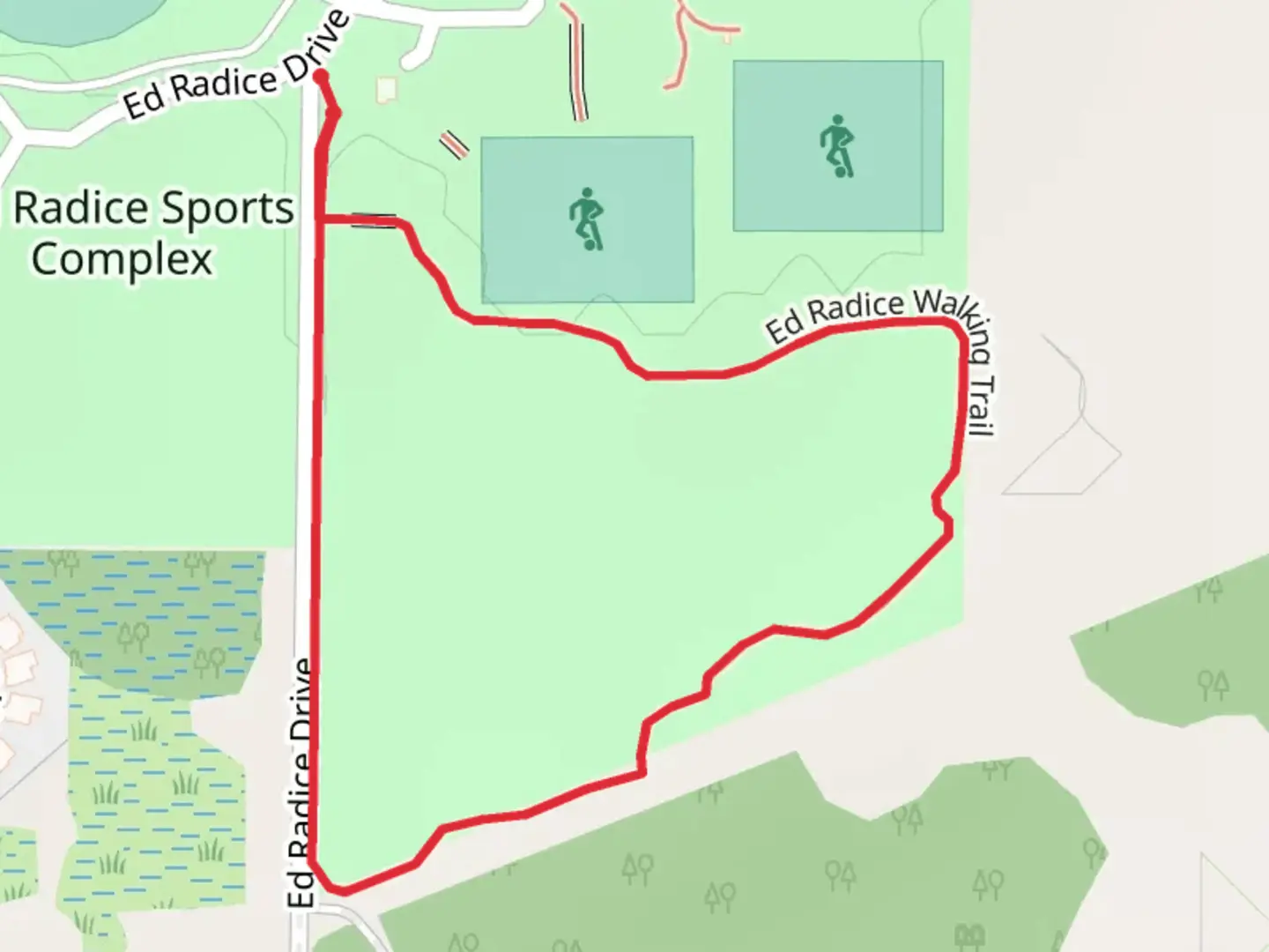 An image depicting the trail Ed Radice Walking Loop Trail and its surrounding area.