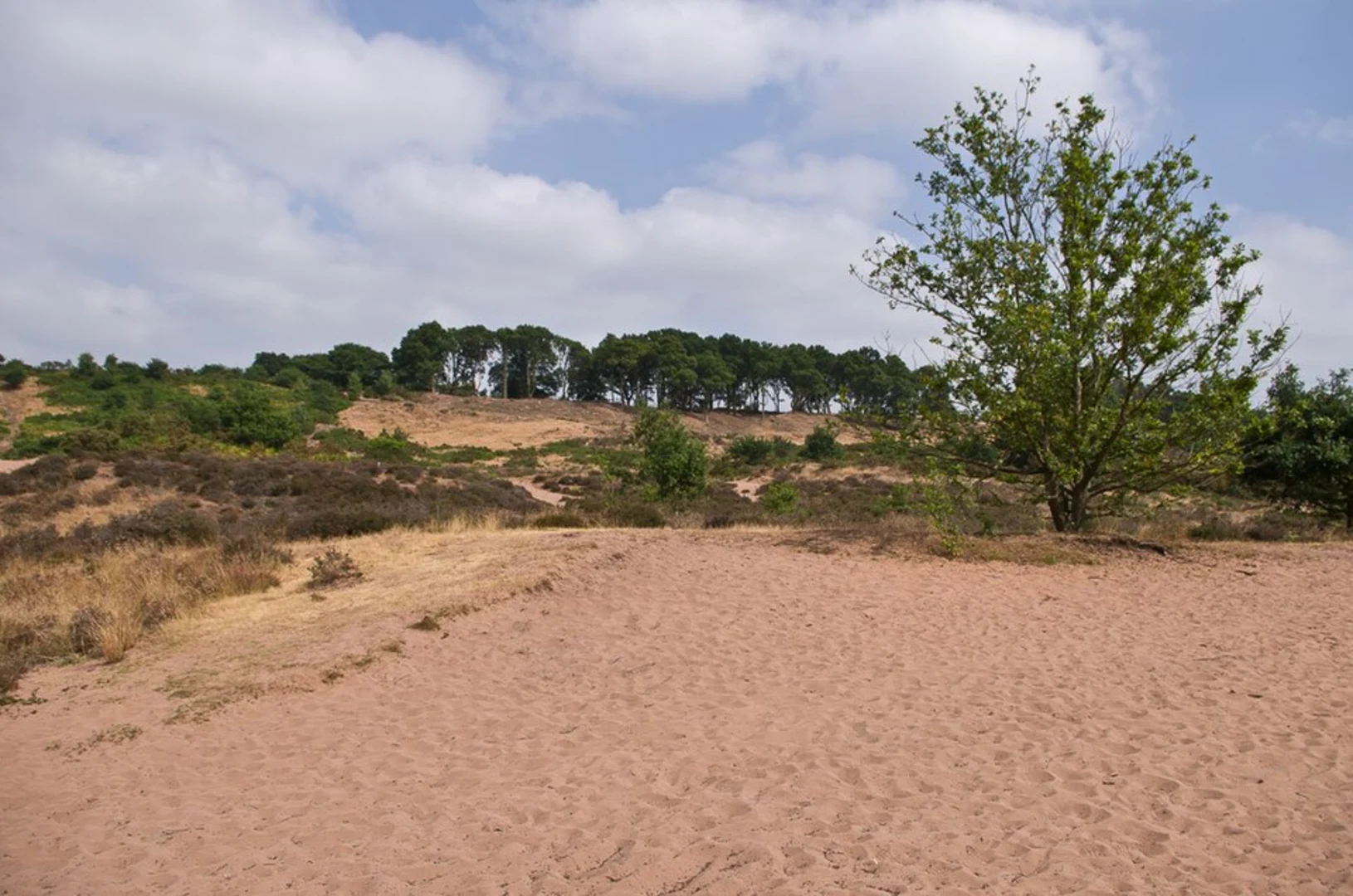 An image depicting the trail Stourport on Severn Circular Walk and its surrounding area.