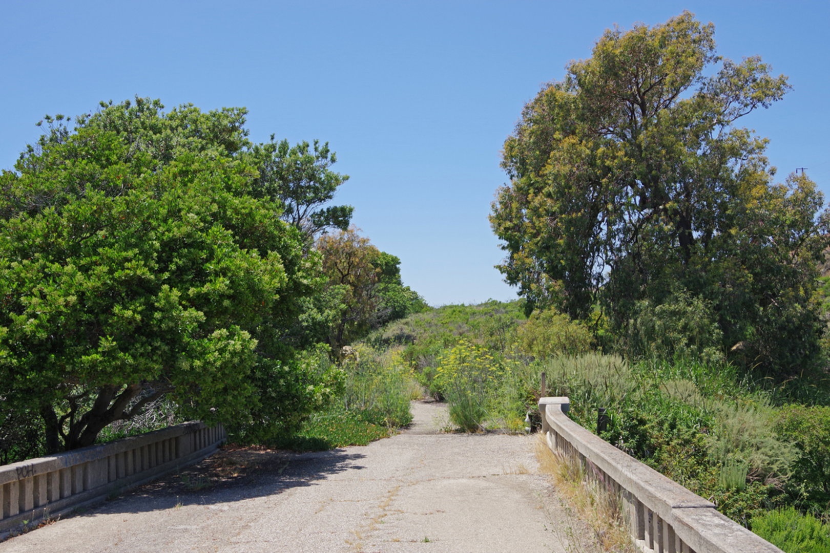 An image depicting the trail Heaton Flats Trail and its surrounding area.