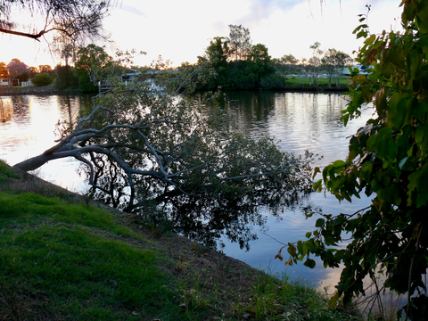 Dawsons Spring Nature Trail