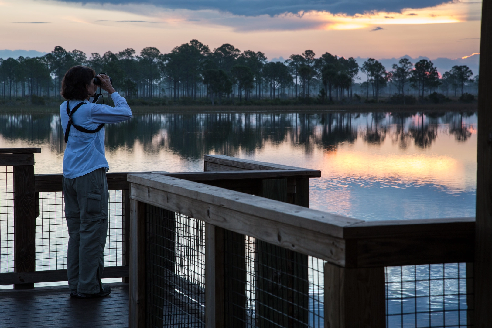 An image depicting the trail Woodpecker Trail and its surrounding area.