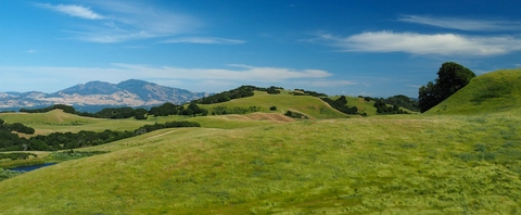 An image depicting the trail Briones Peak via Old Briones Road Trail and its surrounding area.