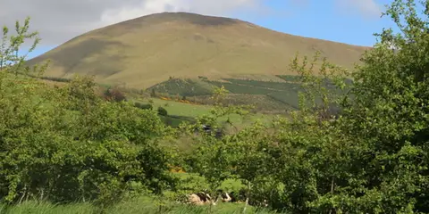 An image depicting the trail Benard Loop and its surrounding area.