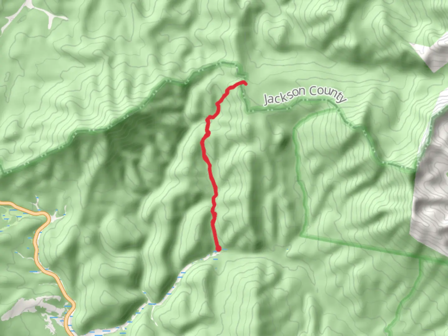 An image depicting the trail Illinois Pass Trail and its surrounding area.