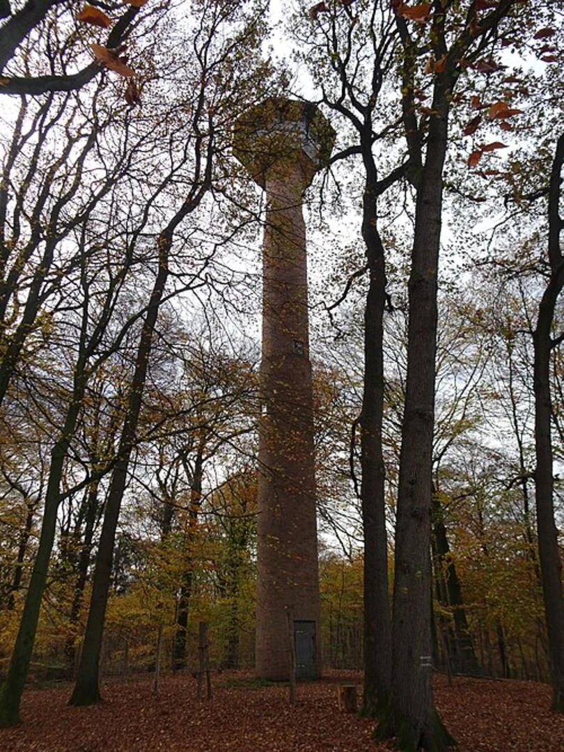 An image depicting the trail Die Haard Waldpromenade and Mutter Wehner Rundweg A4 Loop and its surrounding area.