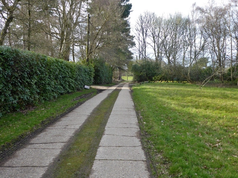 An image depicting the trail Buchan Country Park Loop and its surrounding area.
