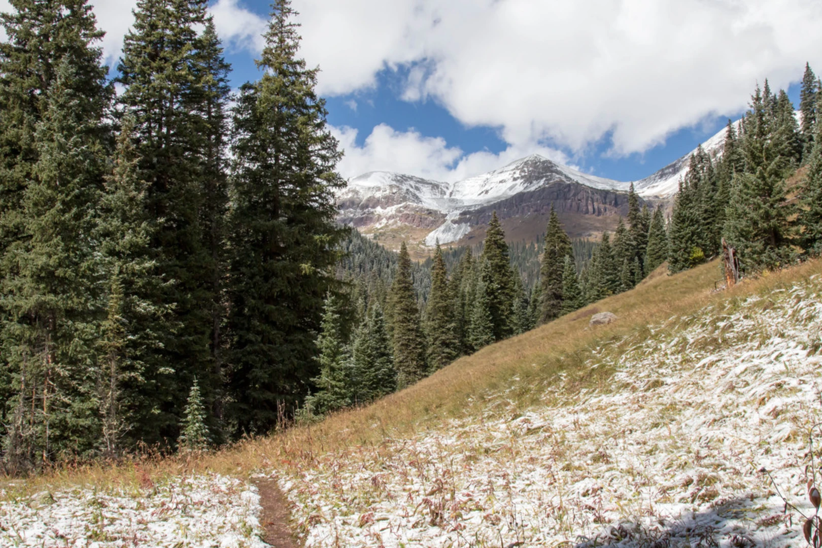 An image depicting the trail West Lime Creek Trail and its surrounding area.