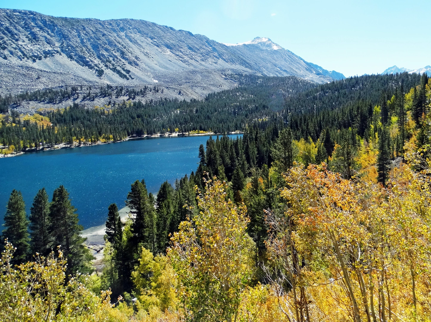 An image depicting the trail Rock Fence Lake Loop and its surrounding area.