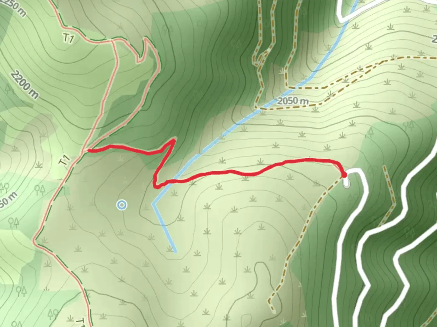An image depicting the trail Porcupine Saddle Trail and its surrounding area.