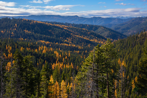 An image depicting the trail Tronsen Meadow Trail and its surrounding area.