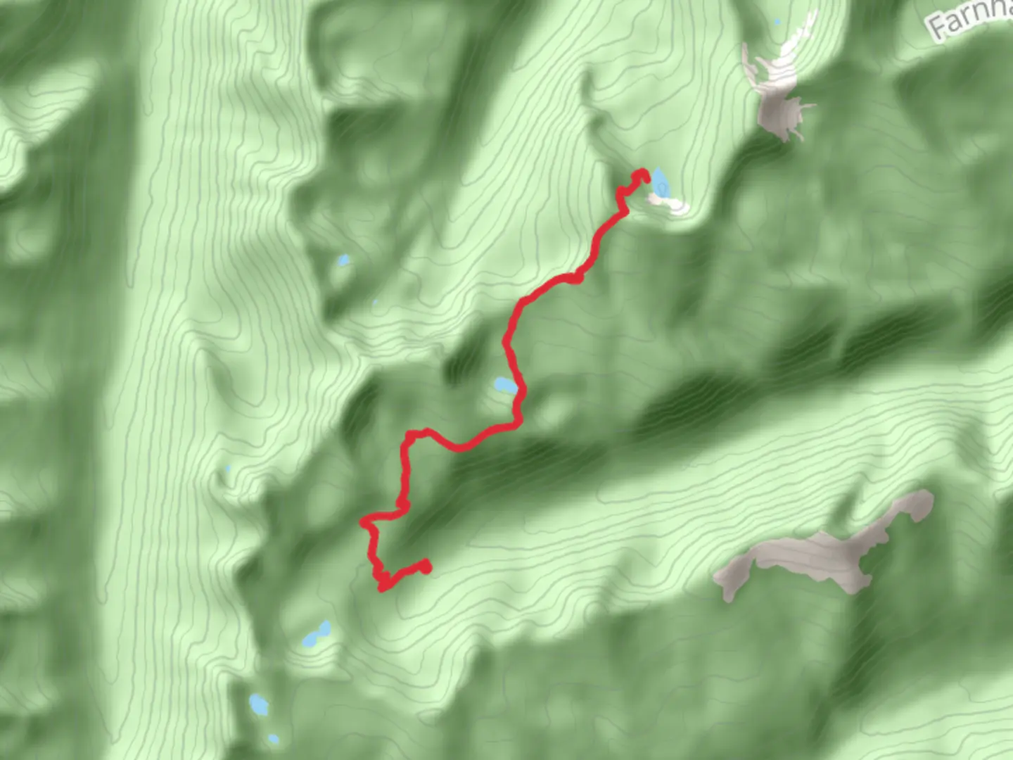 An image depicting the trail Big Fisher Lake and Trout Lake and its surrounding area.