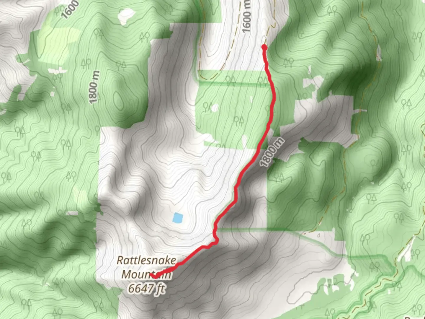An image depicting the trail Rattlesnake Mountain and its surrounding area.