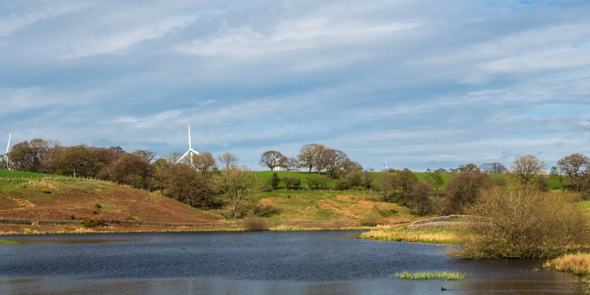 An image depicting the trail Beckwithshaw - Haverah Park and Beaver Dyke Reservoirs and its surrounding area.