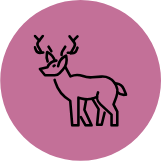 Yuki Watanabe avatar