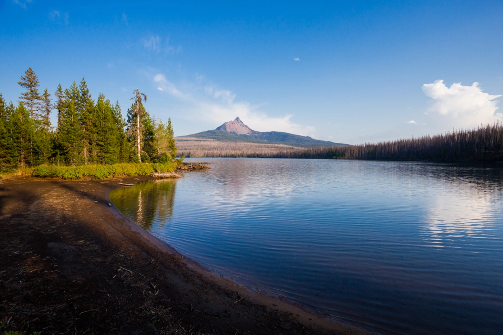 An image depicting the trail Patjens Lake Loop Trail and its surrounding area.