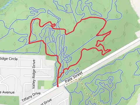 Pate Street Loop - North