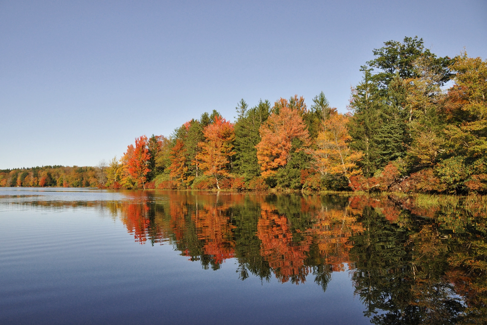 An image depicting the trail Conservation Island Loop Trail - Promise Land and its surrounding area.