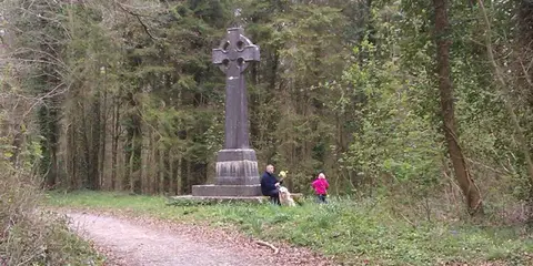 An image depicting the trail Curragh Chase - Glenisca Trail and its surrounding area.