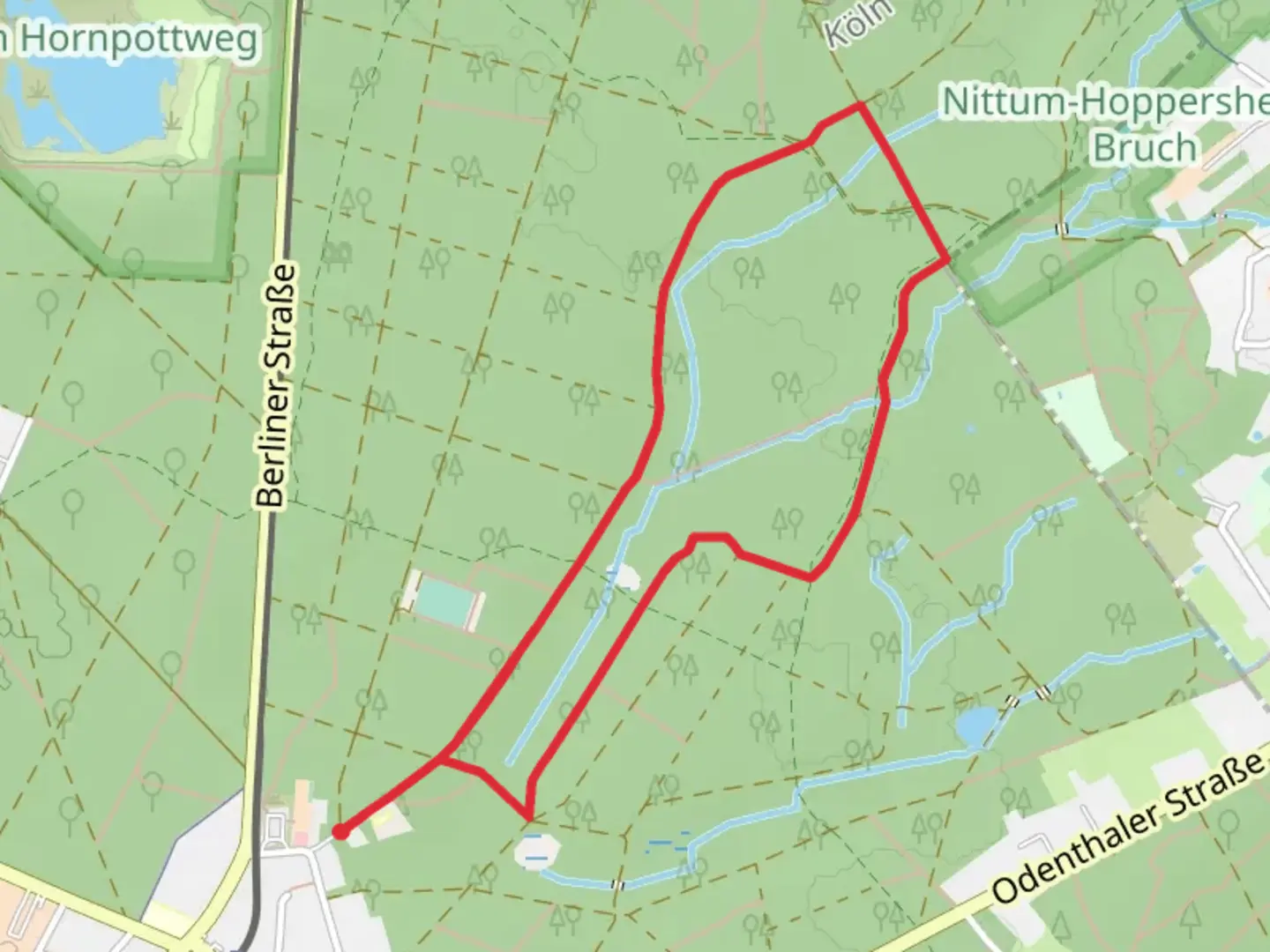 An image depicting the trail Dunnwald Loop and its surrounding area.