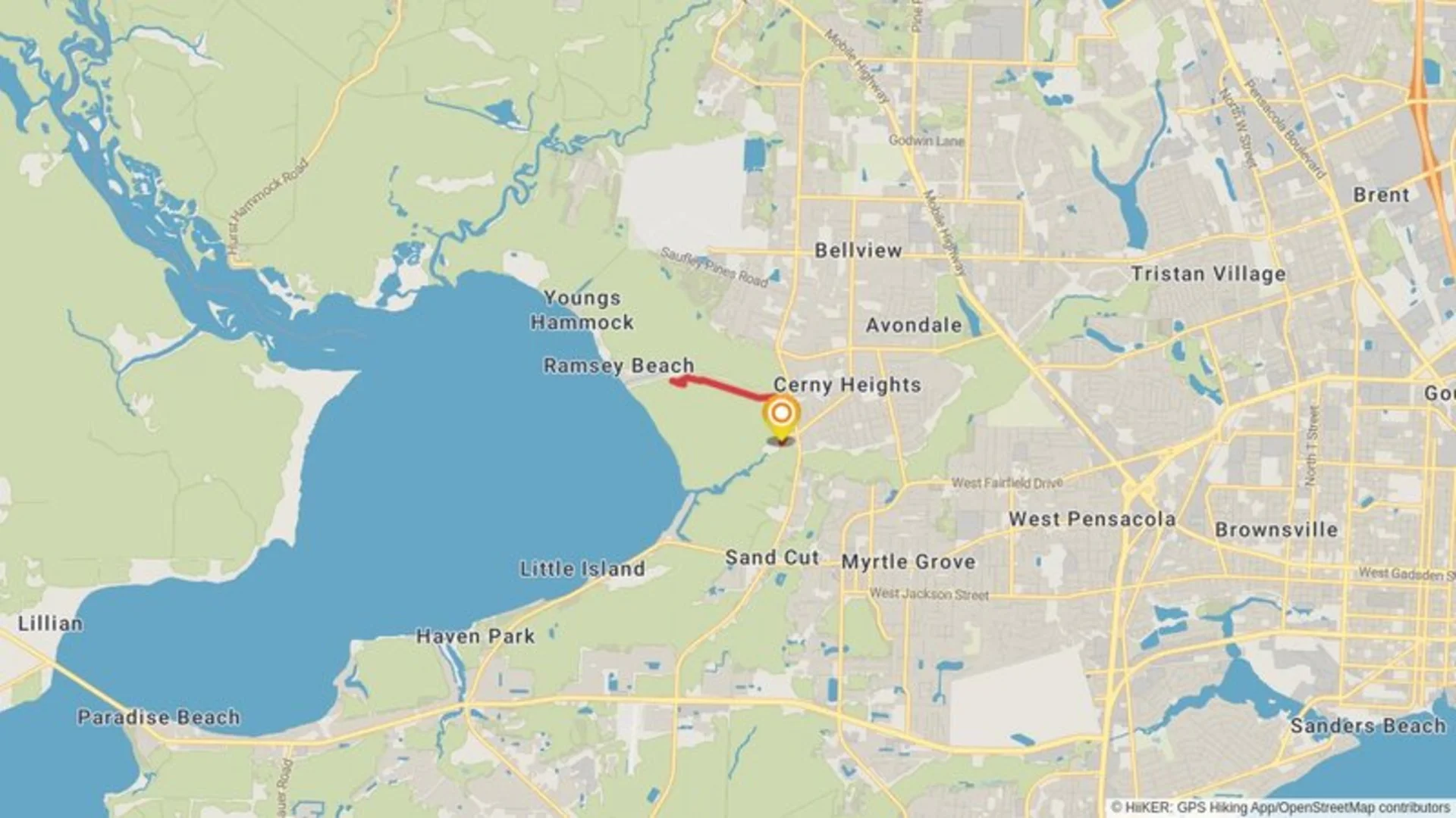 An image depicting the trail Bayou Marcus Birding Trail and its surrounding area.