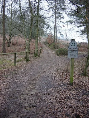 Duke's Warren and Tillingbourne Waterfall Loop
