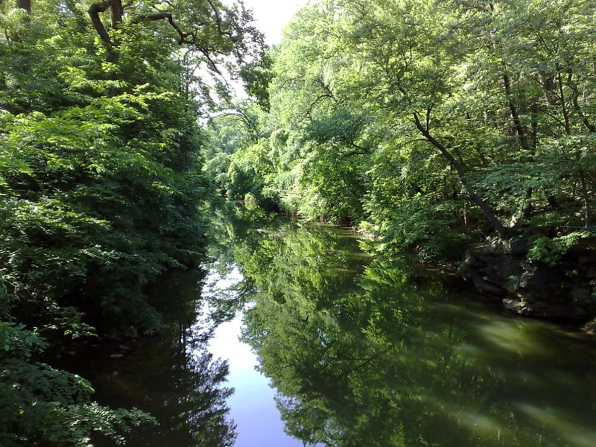 Salvatore Pachella Memorial Field - Yellow Trail