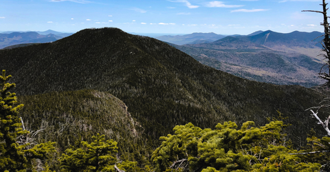 An image depicting the trail Little East Pond Loop Trail and its surrounding area.