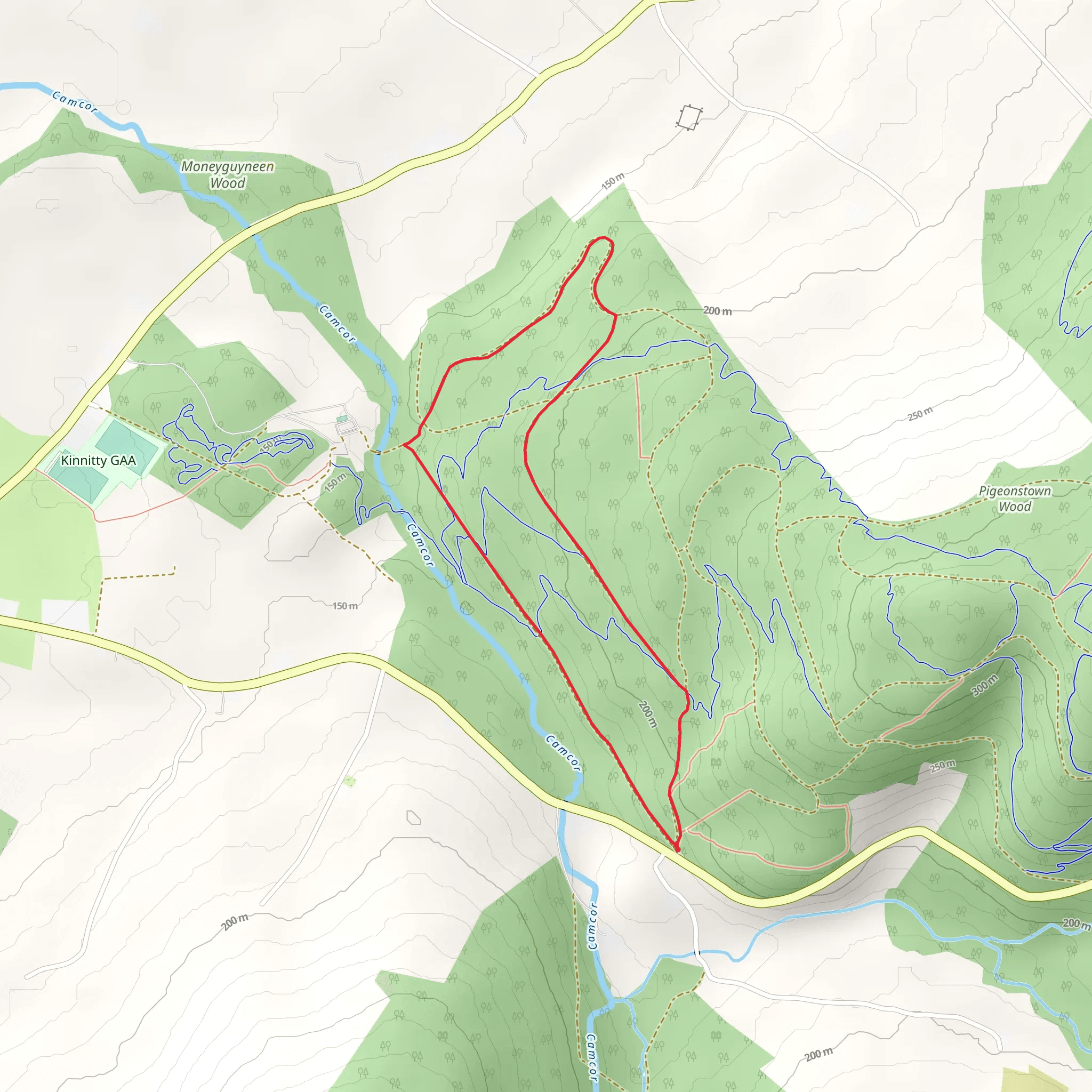 Kinnitty - Kinnitty Castle Loop mobile static map