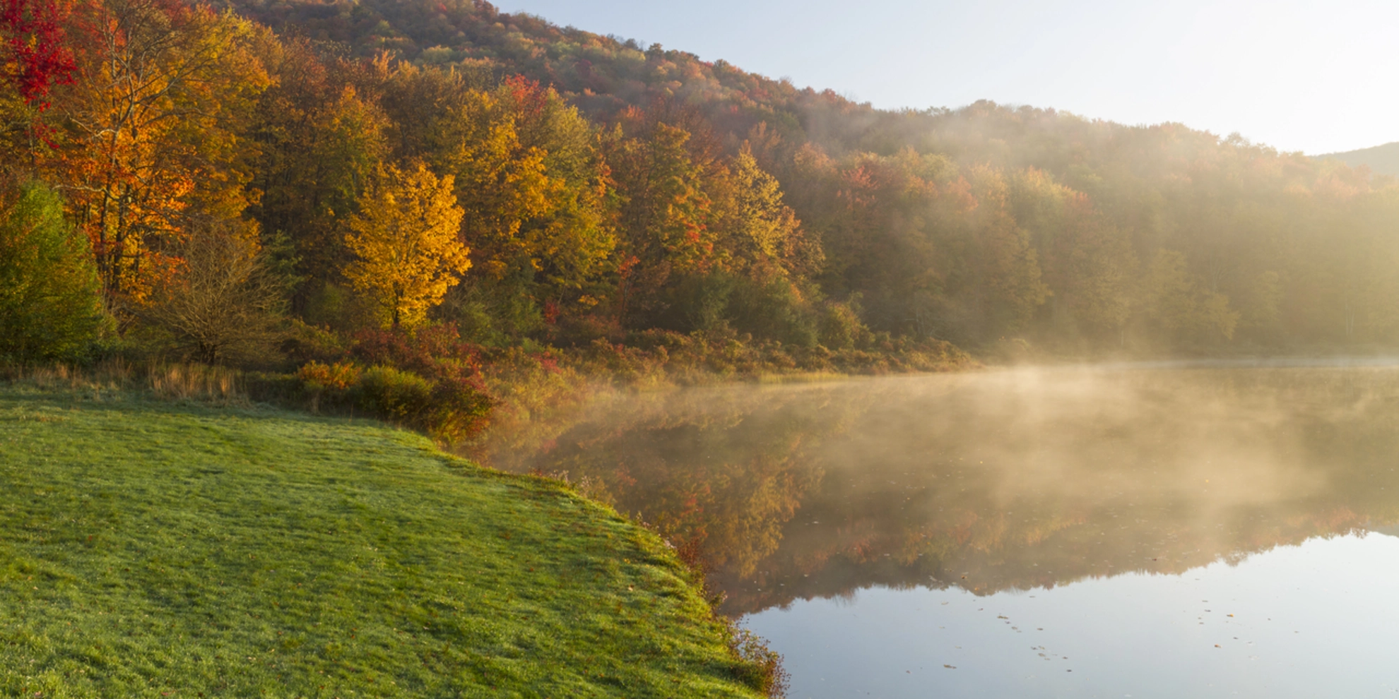 An image depicting the trail Alder Lake Loop and its surrounding area.